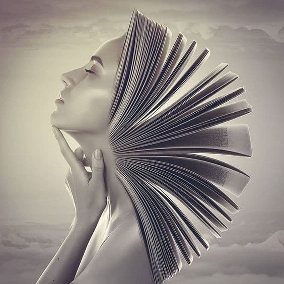 Book Cover Design (Editorial Design)